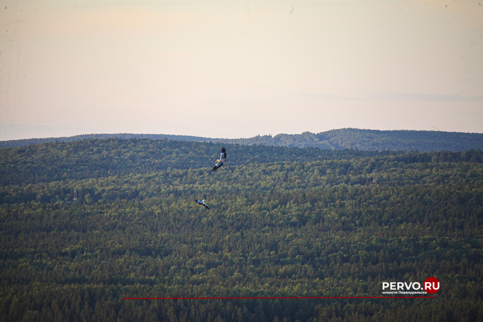 Первоуралец предстанет перед судом за убийство знакомого на охоте