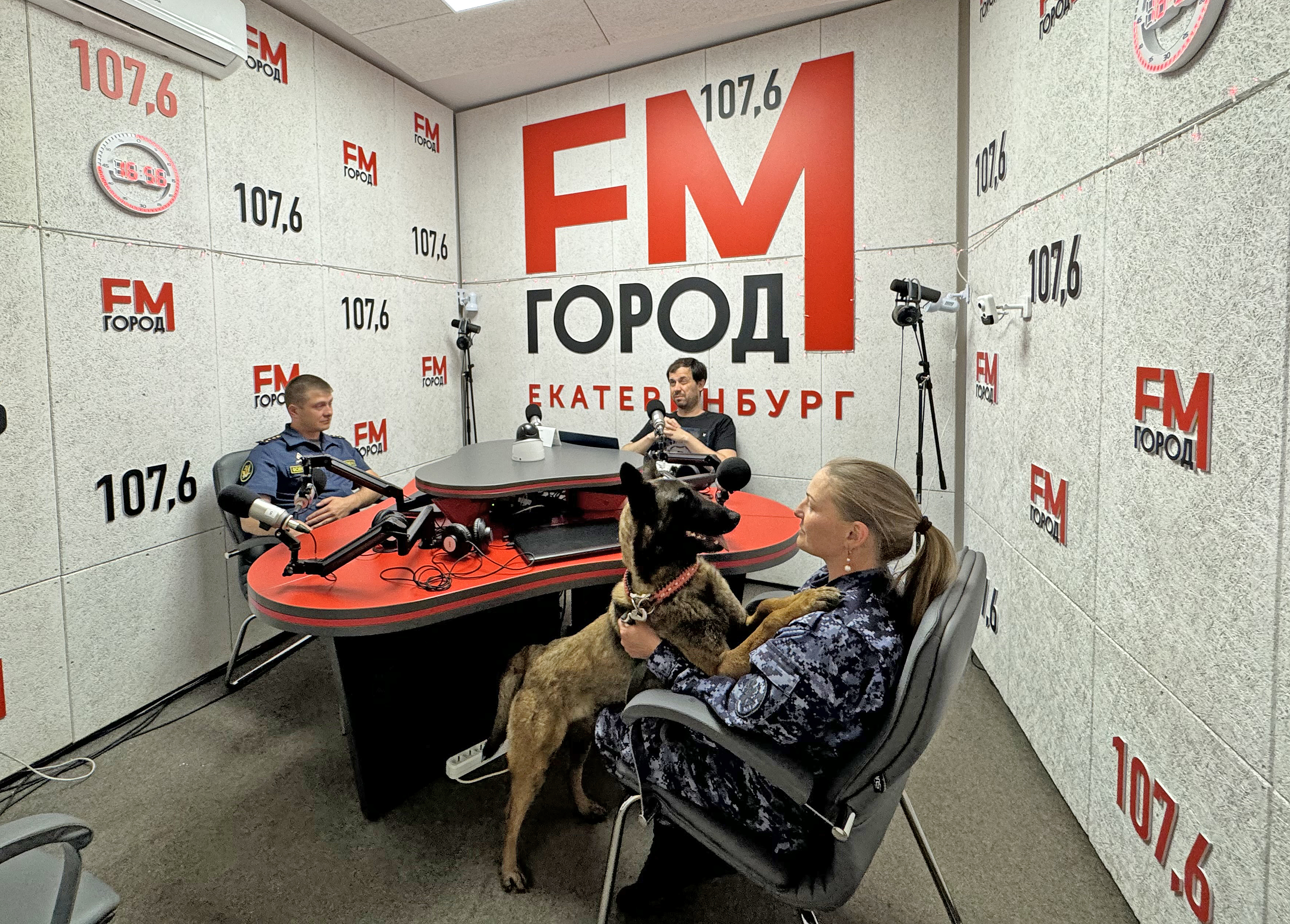 Служебная собака Молли стала звездой радиоэфира