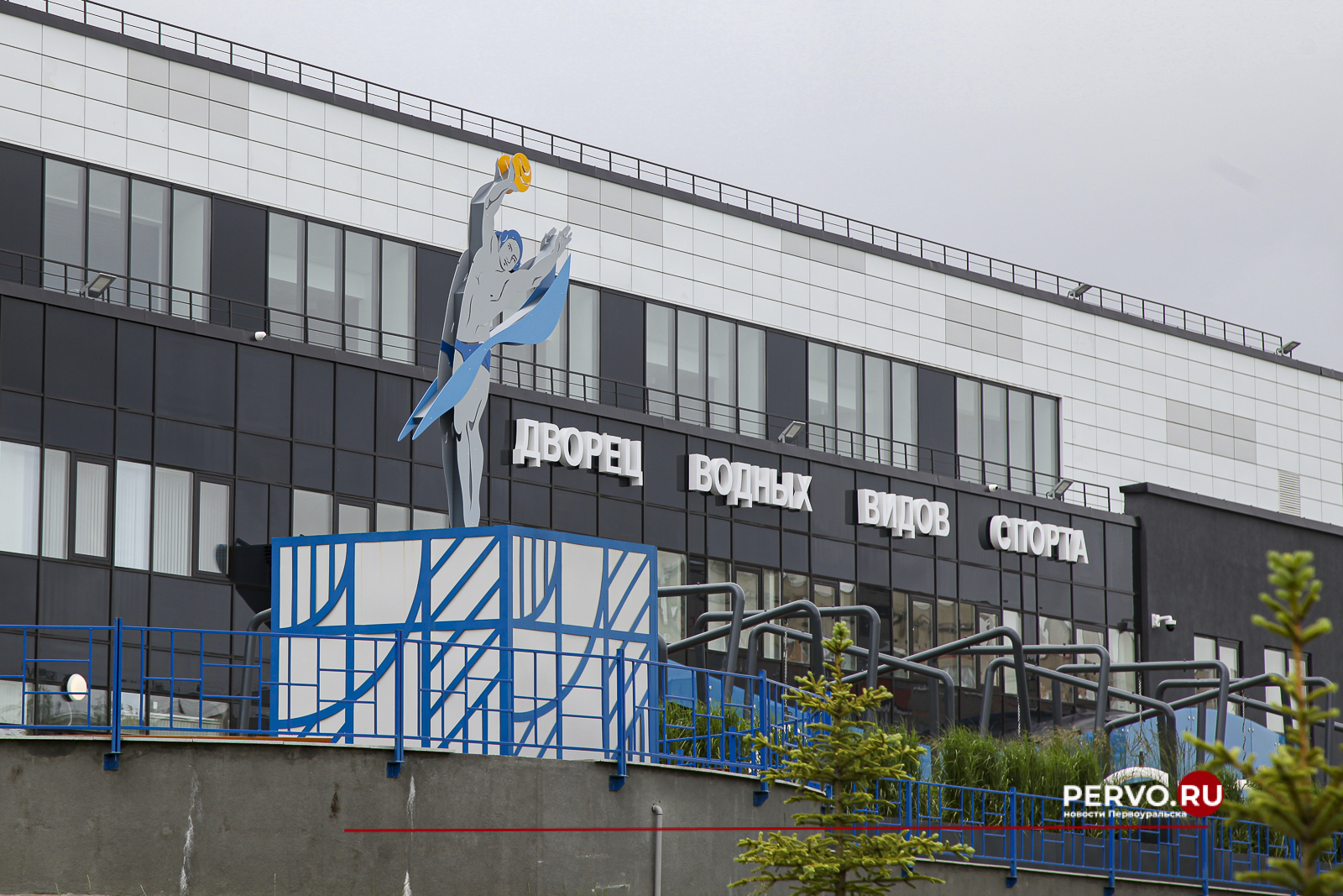 В ДВВС откроют секцию водного поло