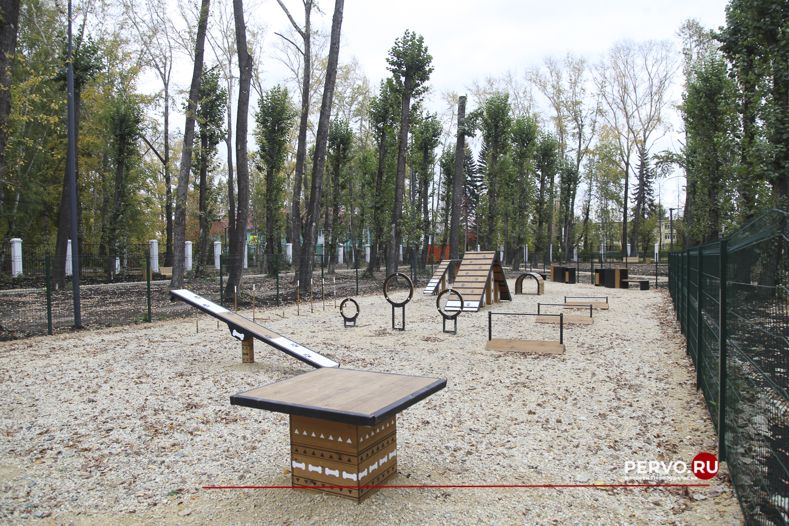 В Первоуральске появится ещё две площадки для выгула собак