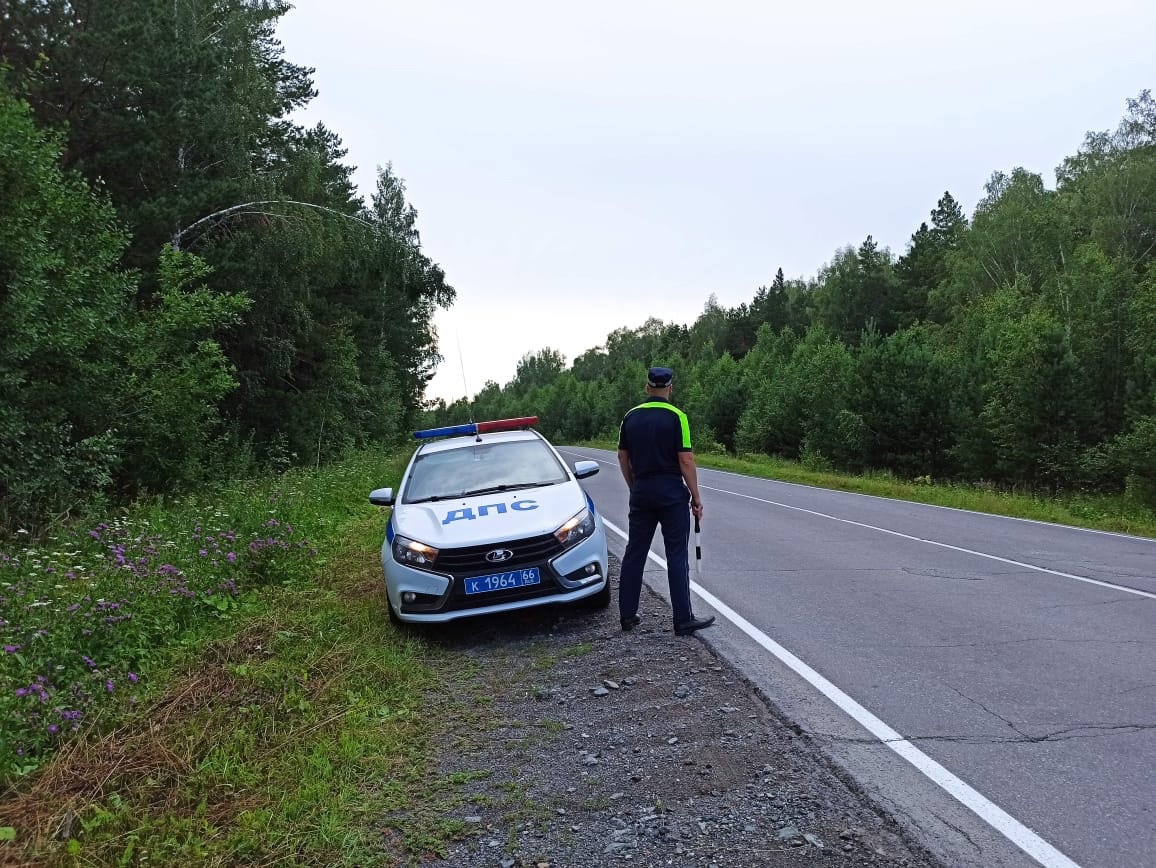 За три дня работниками ГИБДД выявлено 127 нарушений ПДД