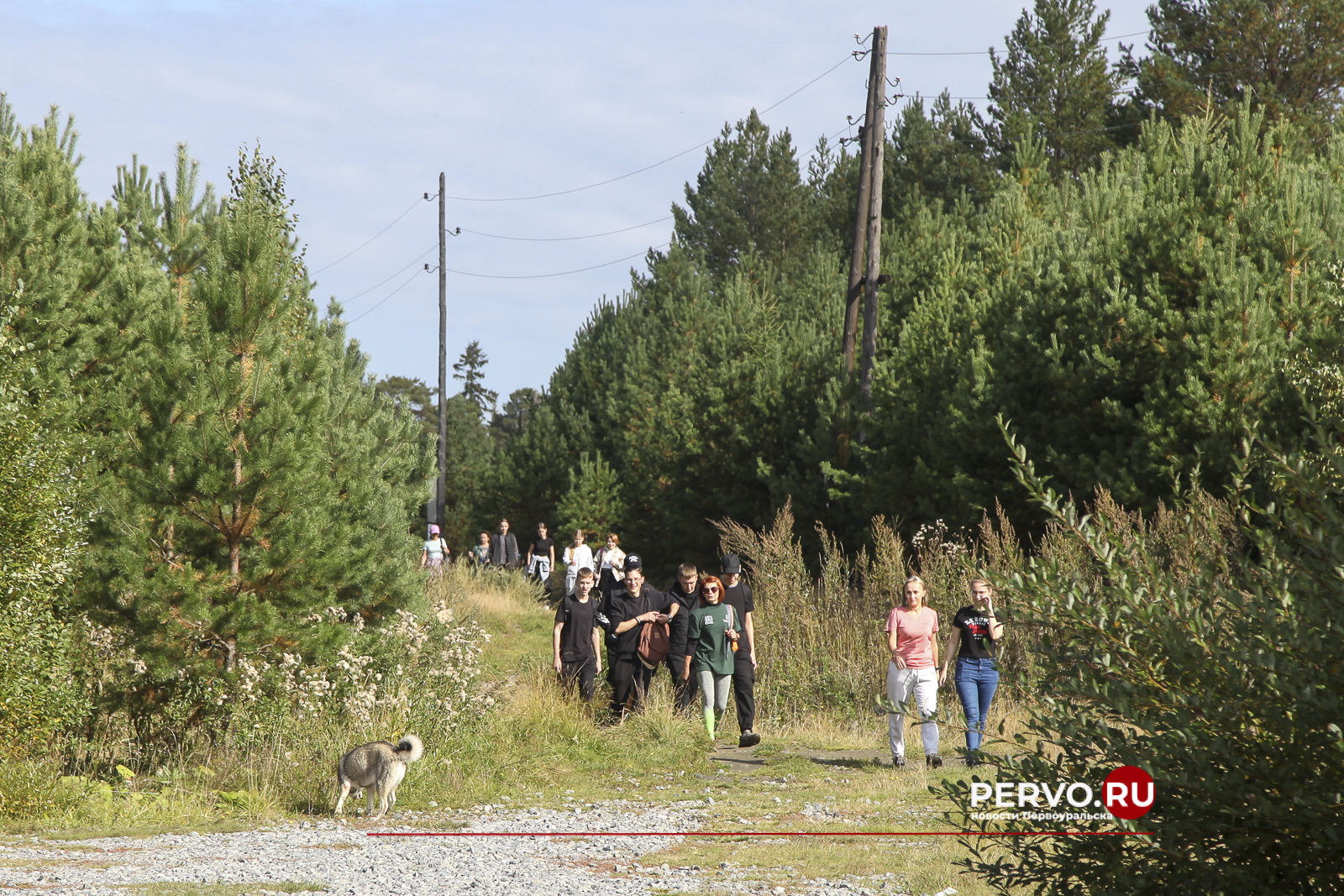 Туристический поход в рамках сдачи норм ГТО