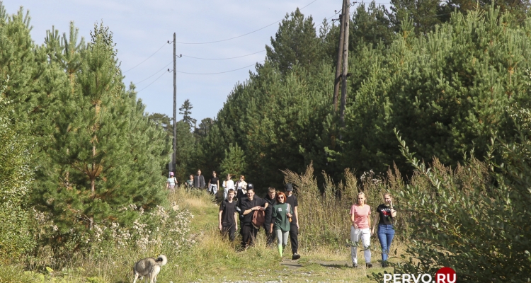 Туристический поход в рамках сдачи норм ГТО