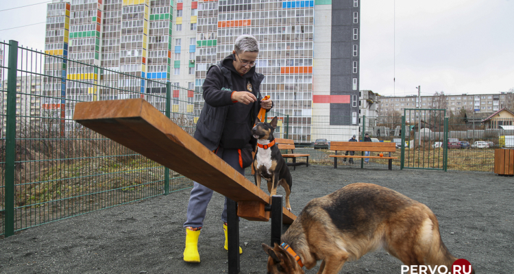 В Первоуральске появились две новые площадки для выгула собак