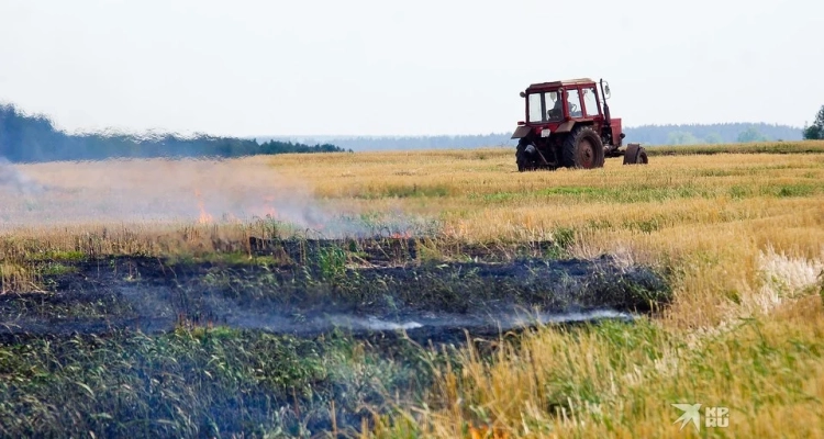 Синоптики предупредили о высокой пожарной опасности