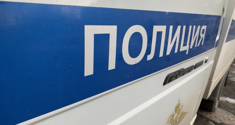 Пресечение грабежа сотрудниками магазина и покупателем