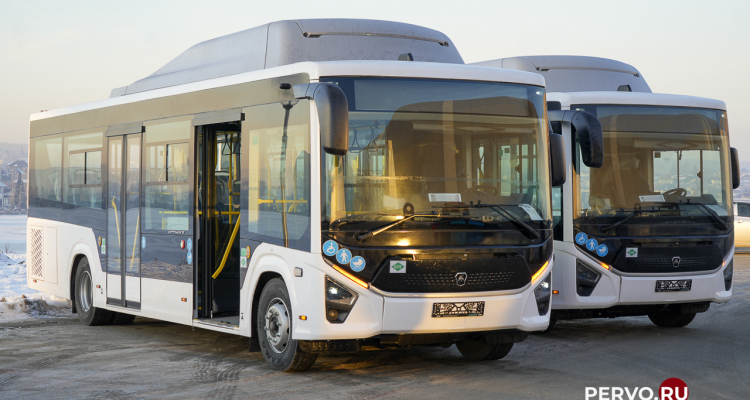 Новые автобусы прибыли в Первоуральск