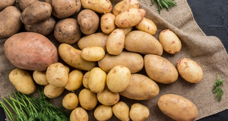 Картошка будет в магазинах города будет только дорожать