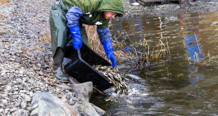 ПНТЗ провел экологическую акцию по восполнению водных биоресурсов