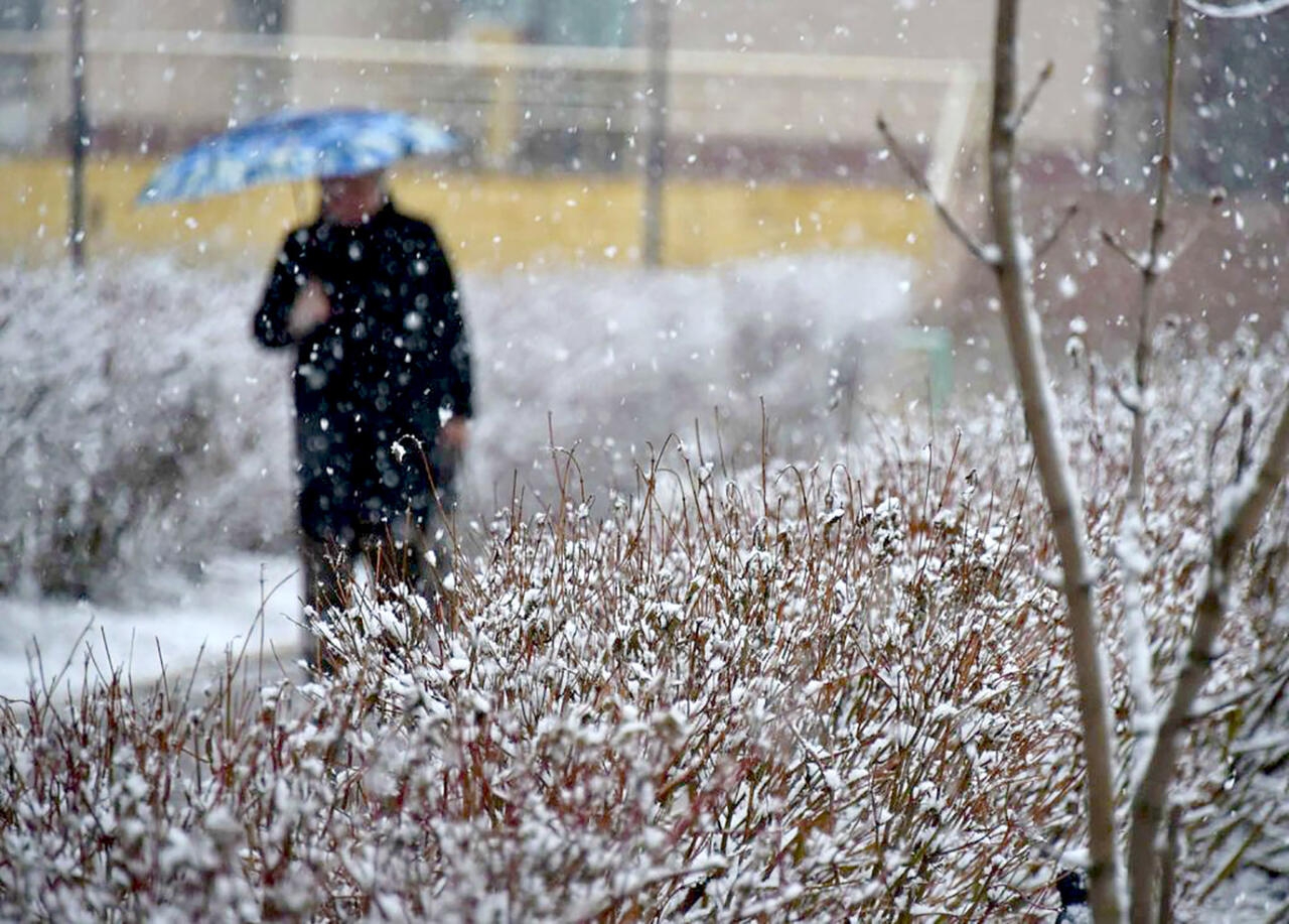 Штормовое предупреждение объявили на 3 декабря