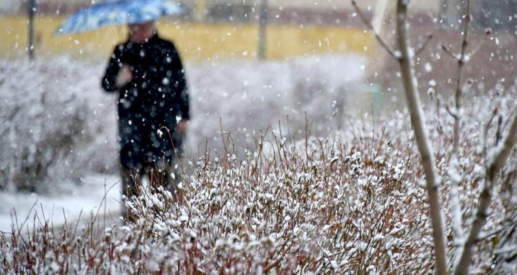 Штормовое предупреждение объявили на 3 декабря