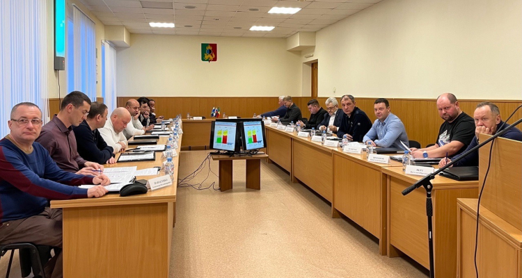 В городской Думе состоялись заседания комитетов