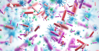 Ученые обнаружили гигантский вирус, кодирующий ключевой белок жизни