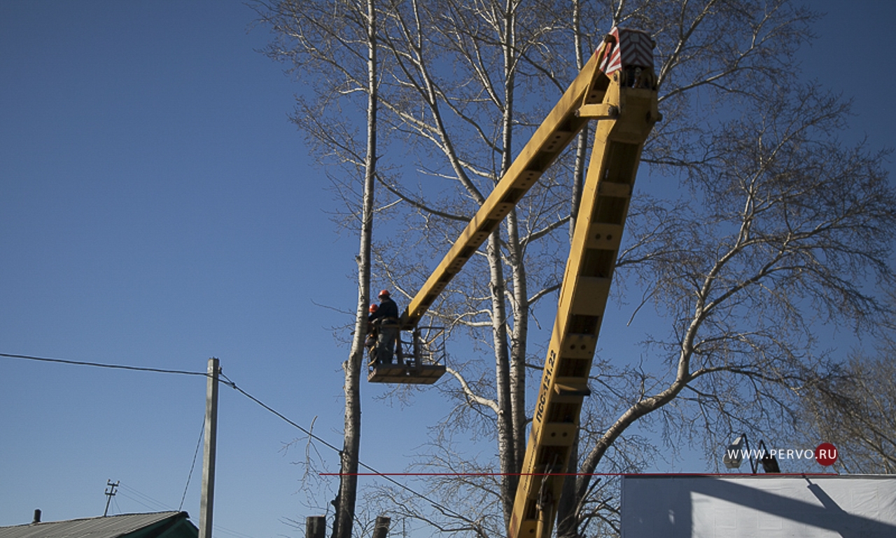 В этом году в муниципальном округе кронируют более 800 деревьев