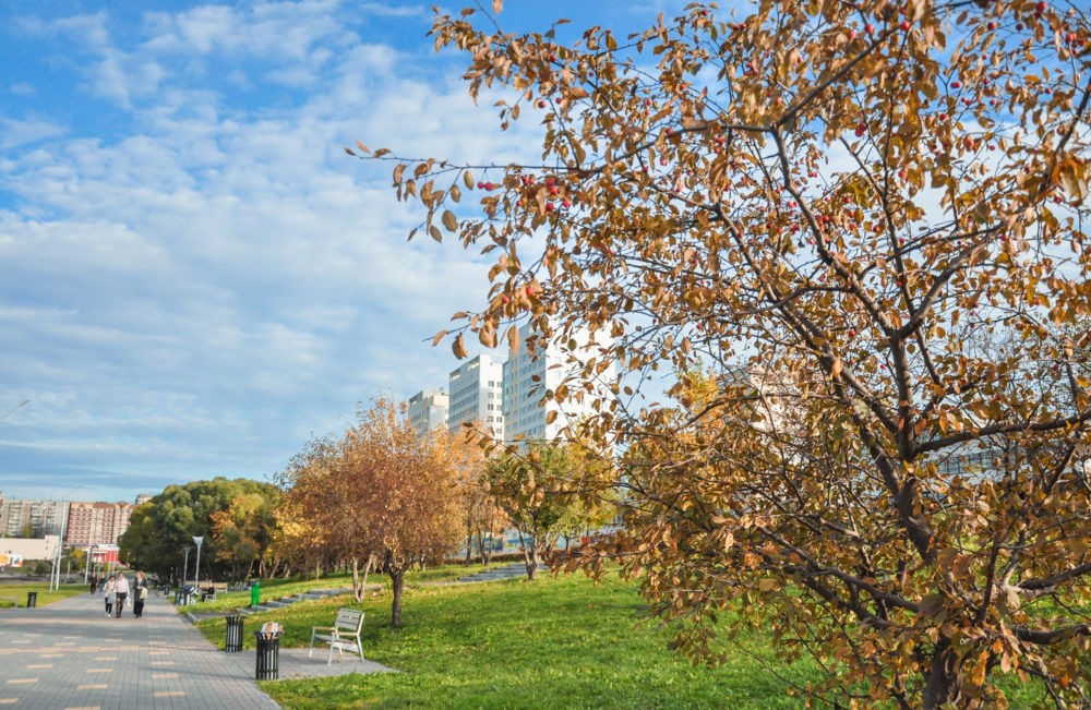 Жителям Первоуральска предлагают выбрать, что будет на городской набережной