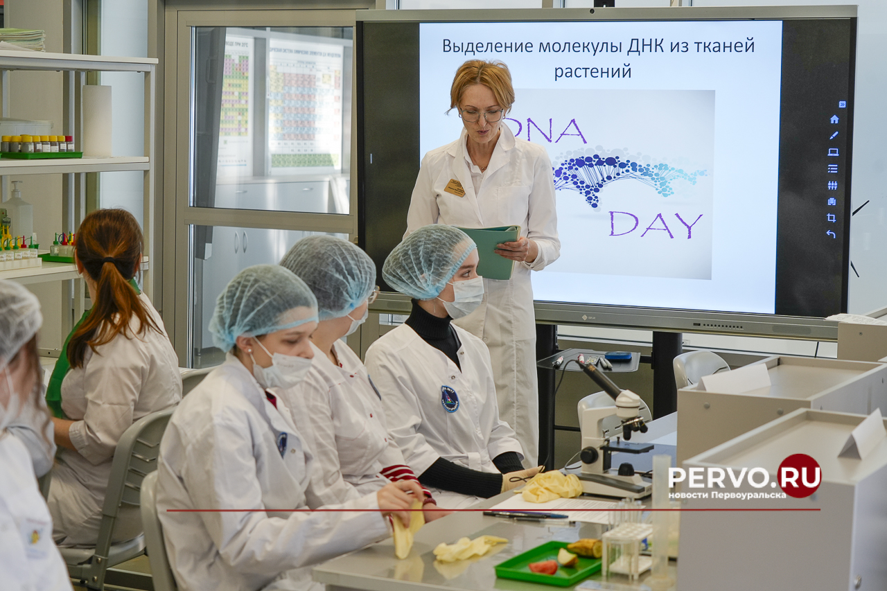 В Первоуральске лицей №21 вновь стал площадкой форума медицинских классов «Первый шаг в медицину»