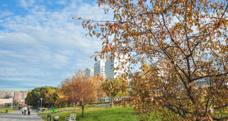Жителям Первоуральска предлагают выбрать, что будет на городской набережной