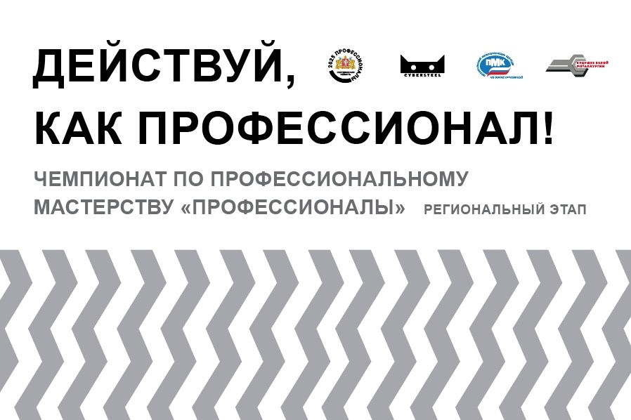 Будущие белые металлурги завоевали восемь призовых мест на региональном этапе «Профессионалы»