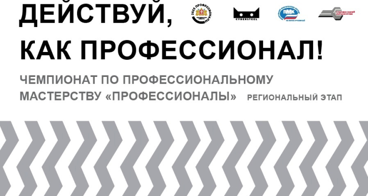 Будущие белые металлурги завоевали восемь призовых мест на региональном этапе «Профессионалы»