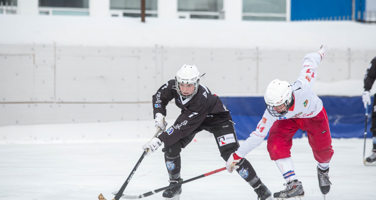Подведены итоги соревнований по хоккею с мячом сезона-2024/25