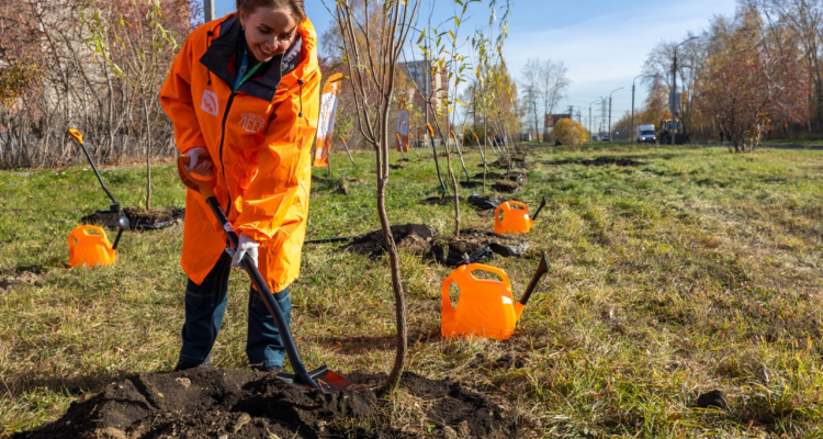 Системный подход: как современные технологии защищают природу