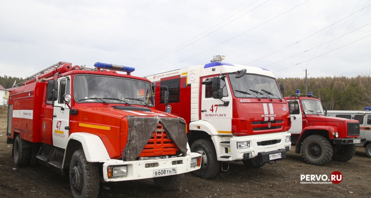 В городских лесах введут противопожарный режим. Список запретов и штрафов