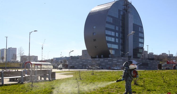 В мае начнут обработку территорий от клещей