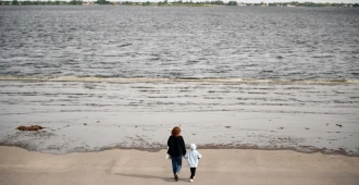 Росводресурсы сообщило об обмелении Волги