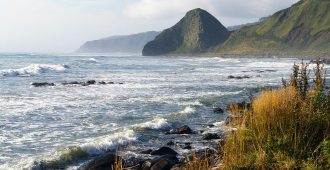 У Южных Курил произошло землетрясение магнитудой 4,8