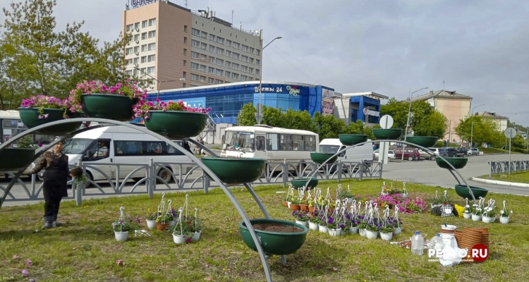 На улицах Первоуральска высадят порядка 19500 цветов
