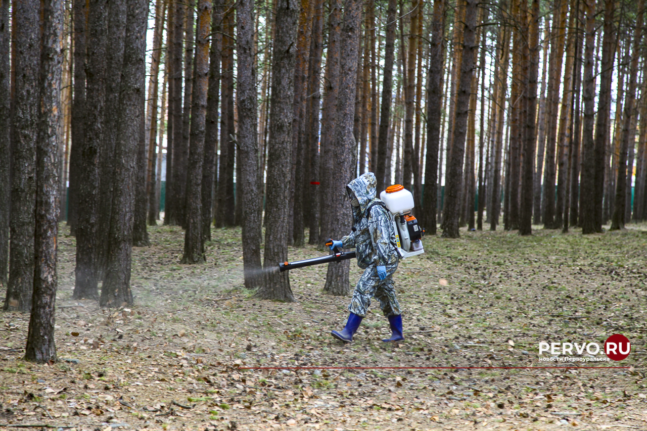 «Парк новой культуры» закрыли для посещения