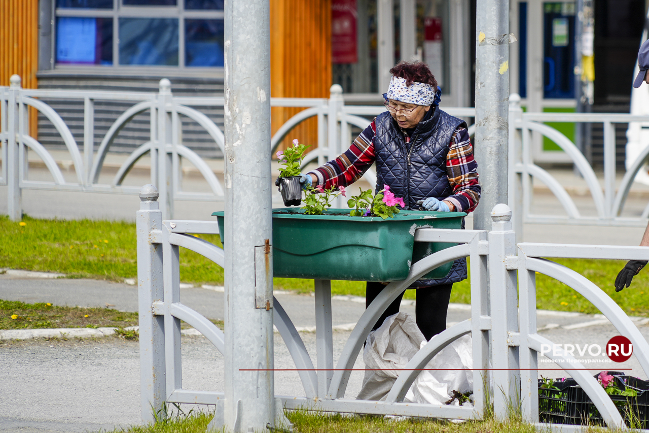 В Первоуральске приступили к высадке цветов