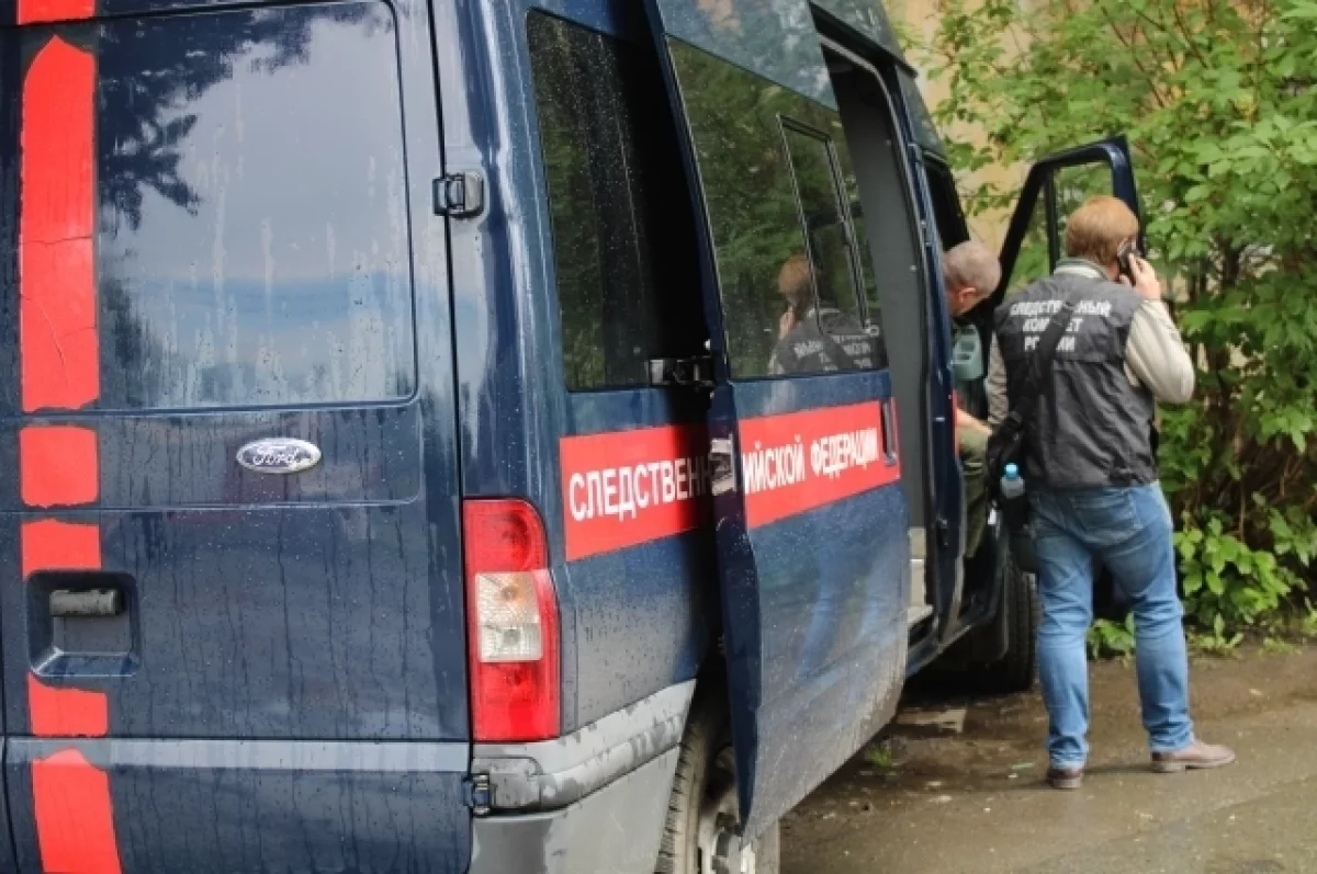 СКР завёл дело об избиении школьницы в Первоуральске