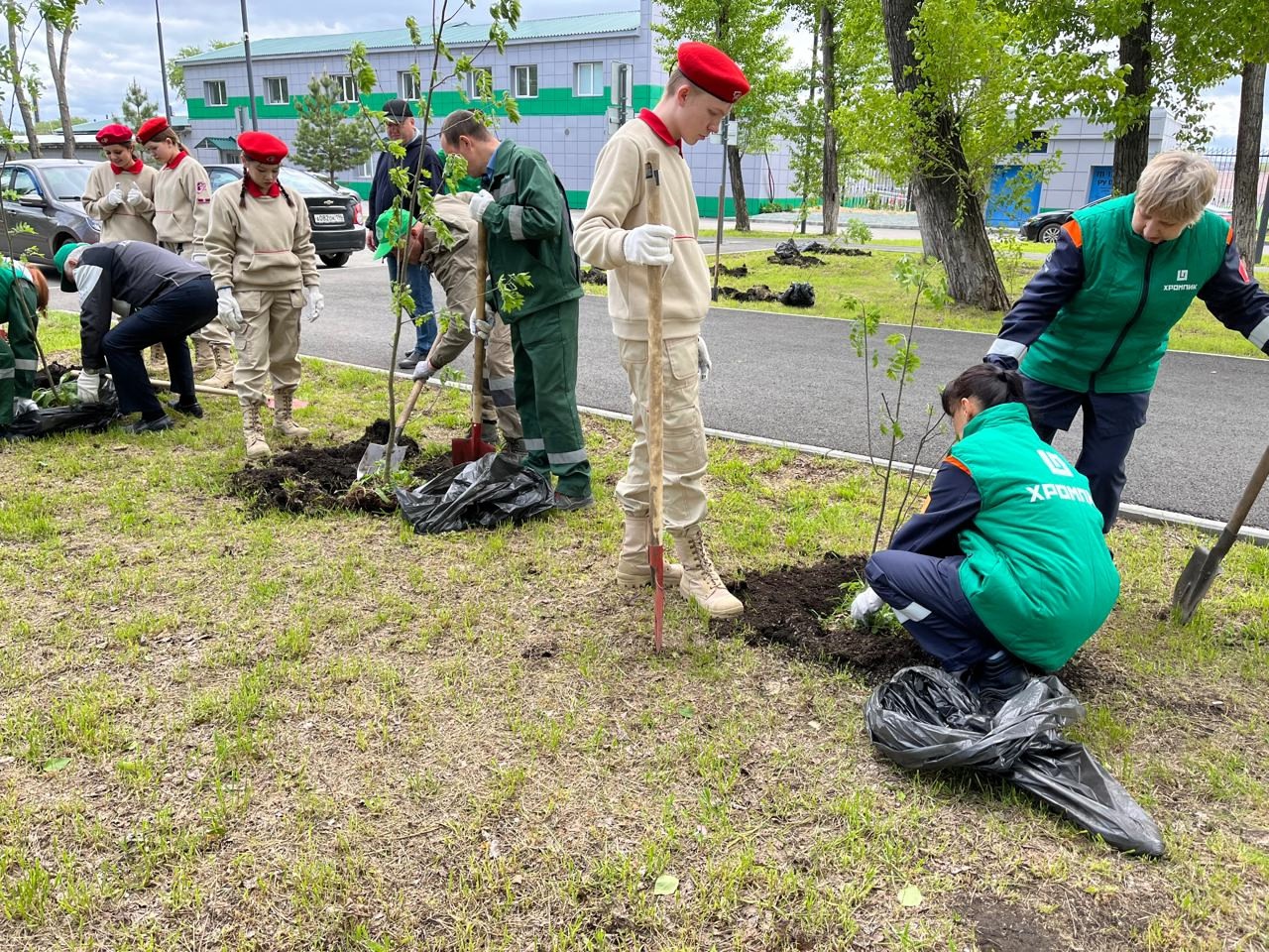 В Театральном парке высадили 50 саженцев рябин, лип и кедров