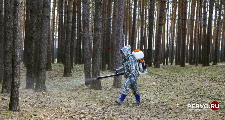 «Парк новой культуры» закрыли для посещения