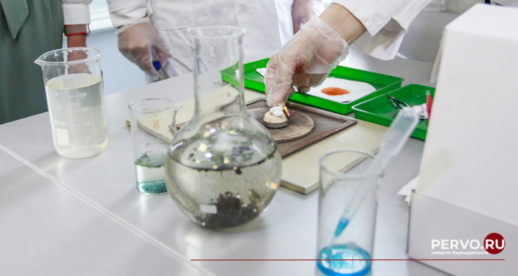 Анализ заболеваемости острыми кишечными инфекциями в Первоуральске