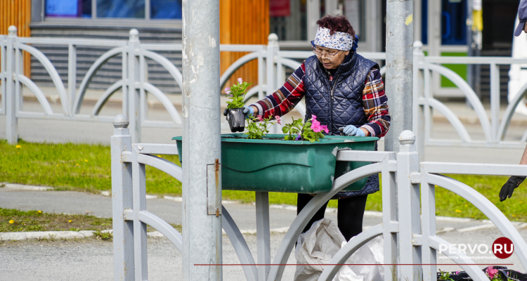 В Первоуральске приступили к высадке цветов