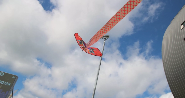 3 июня пройдёт парад воздушных змеев