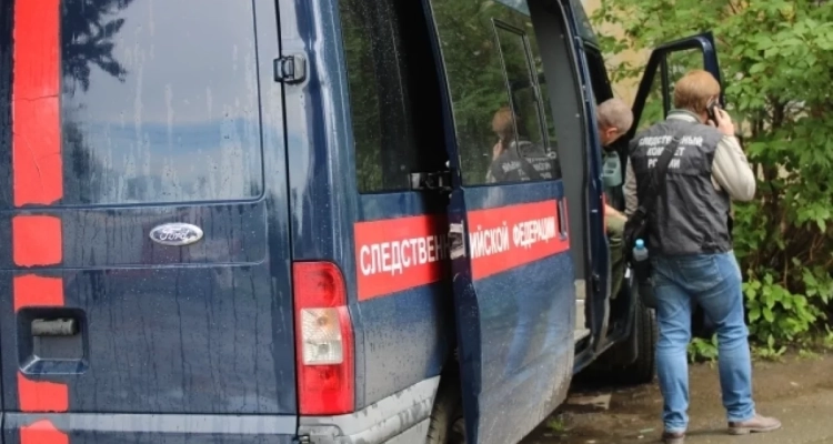 СКР завёл дело об избиении школьницы в Первоуральске