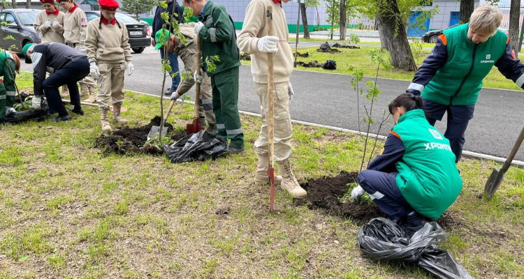 В Театральном парке высадили 50 саженцев рябин, лип и кедров
