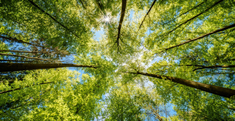 Новый температурный рекорд зафиксировали в Амурской области