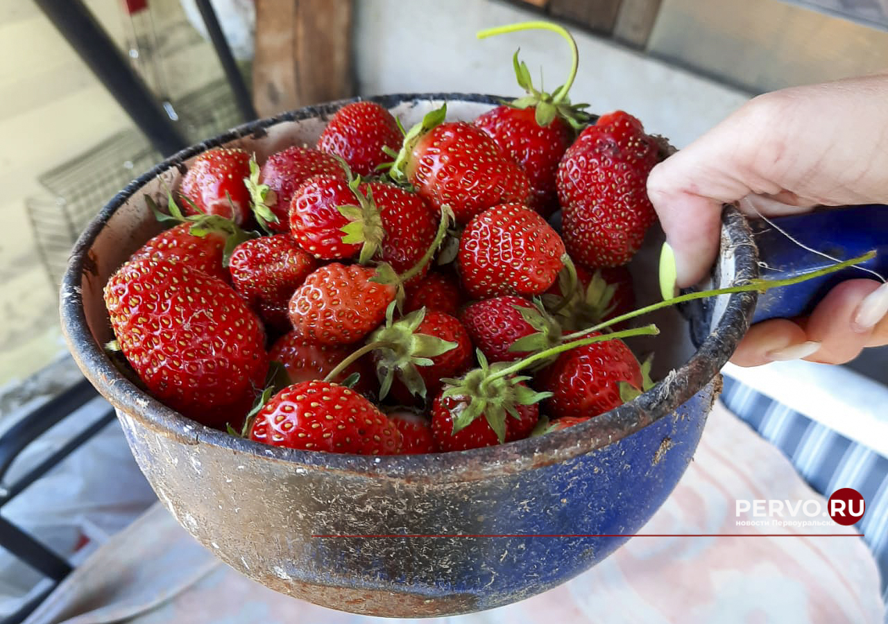 Цены на клубнику выросли в среднем на 25 процентов