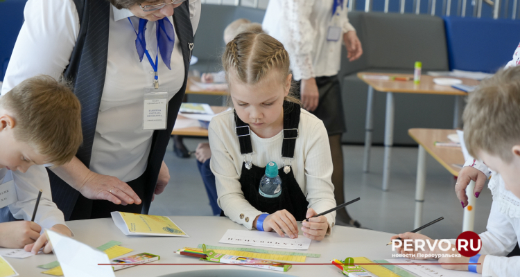 На программы дополнительного образования зачислено 20 966 обучающихся