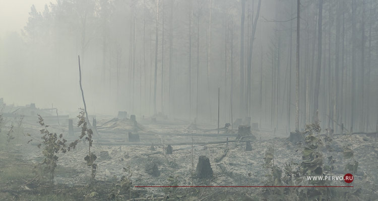 Под Первоуральском пожарные ГУФСИН отстояли от огня колонию-поселение