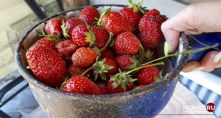 Цены на клубнику выросли в среднем на 25 процентов