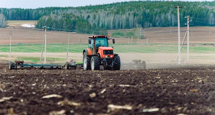 Аграрии завершили посевные работы в полях