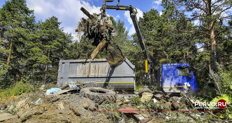 На ликвидацию несанкционированной свалки выделят 60,8 млн рублей
