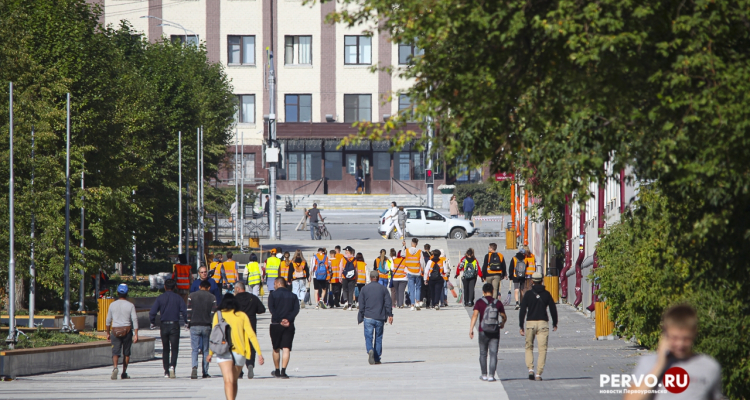 Топ-15 специалистов, которых сильнее всего не хватает этим летом