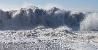 Волной цунами смыло лагерь экспедиции РГО на Курильских островах