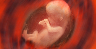 В мире родился «самый старый ребёнок»